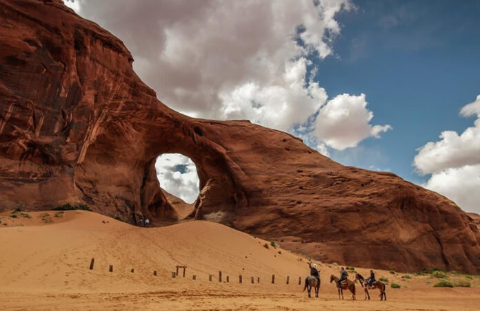 Sinai Desert