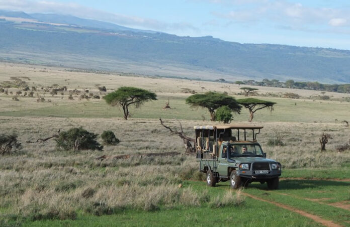 Africa Safari Adventure